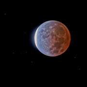 19th Nov 2021 - Beaver Moon Lunar Eclipse