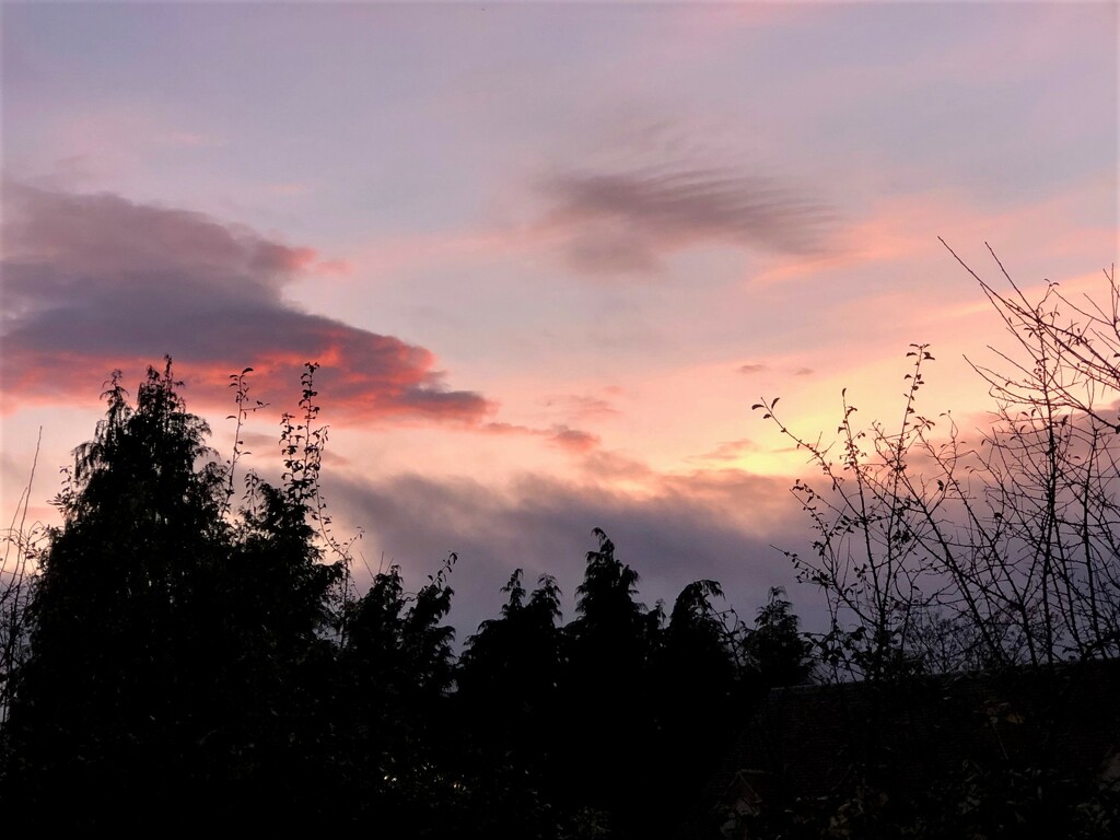  Evening Sky by susiemc