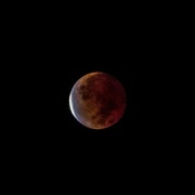 19th Nov 2021 - Eclipse!