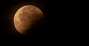 19th Nov 2021 - Moon Eclipse This Morning!