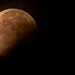 Moon Eclipse This Morning! by rickster549