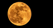 19th Nov 2021 - And This was Tonight's Full Moon!