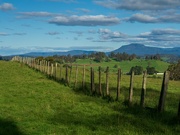 22nd Oct 2021 - North of Tasmania- Countryside 