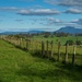 North of Tasmania- Countryside 