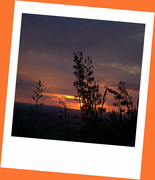 19th Nov 2021 - Ararimu sunset