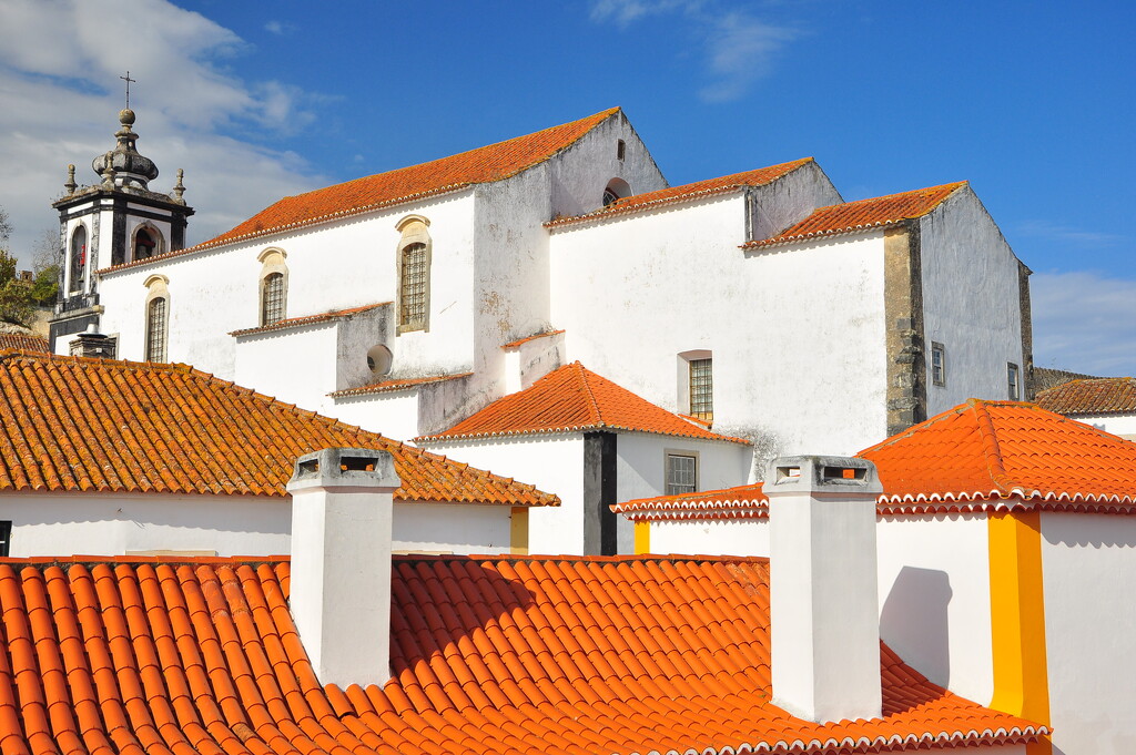 Roofs by antonios