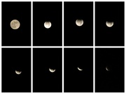 20th Nov 2021 - 2021 Beaver Moon Lunar Eclipse 