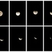 2021 Beaver Moon Lunar Eclipse  by peggysirk