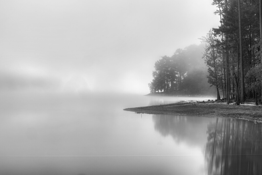 Misty Morning by kvphoto