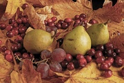 19th Nov 2021 - pears and grapes and cranberries