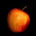 apple by francoise