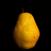 pear by francoise