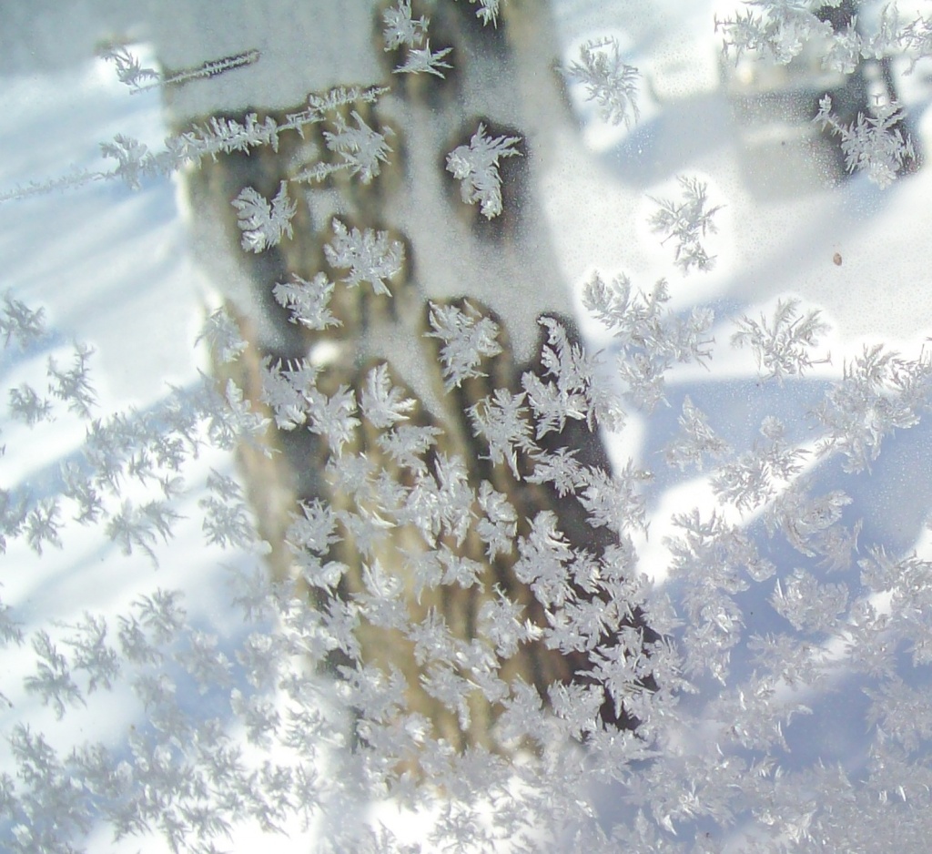 Window Frost by julie