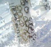 22nd Jan 2011 - Window Frost