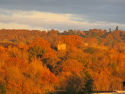 21st Nov 2021 - Changing shades of autumn