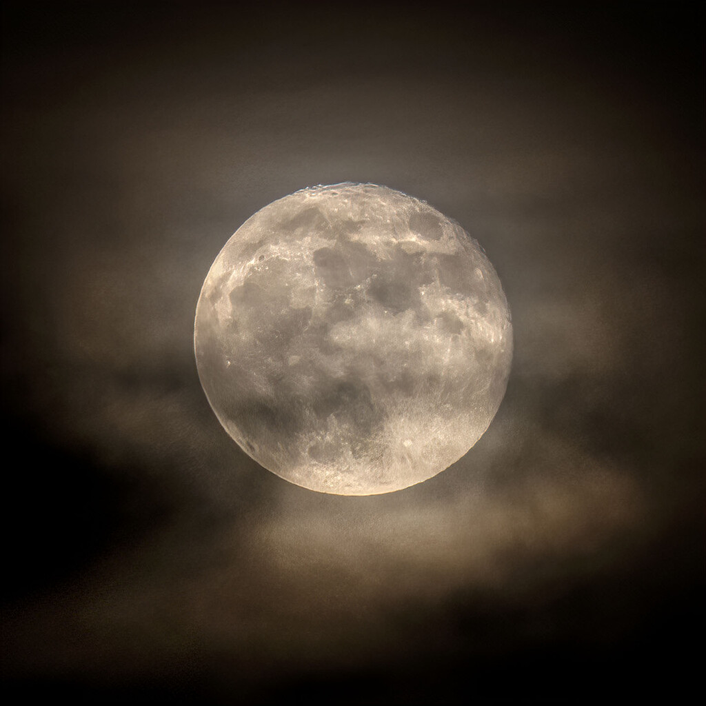 Hunter's Moon by kvphoto