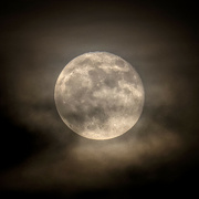 21st Oct 2021 - Hunter's Moon
