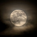 Hunter's Moon by kvphoto