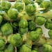 Brussel  Sprouts by harbie