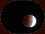 19th Nov 2021 - 19 Lunar Eclipse