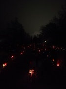 3rd Nov 2021 - Evening walk around graveyard