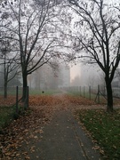 20th Nov 2021 - foggy day in Jarše 