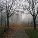 foggy day in Jarše  by zardz