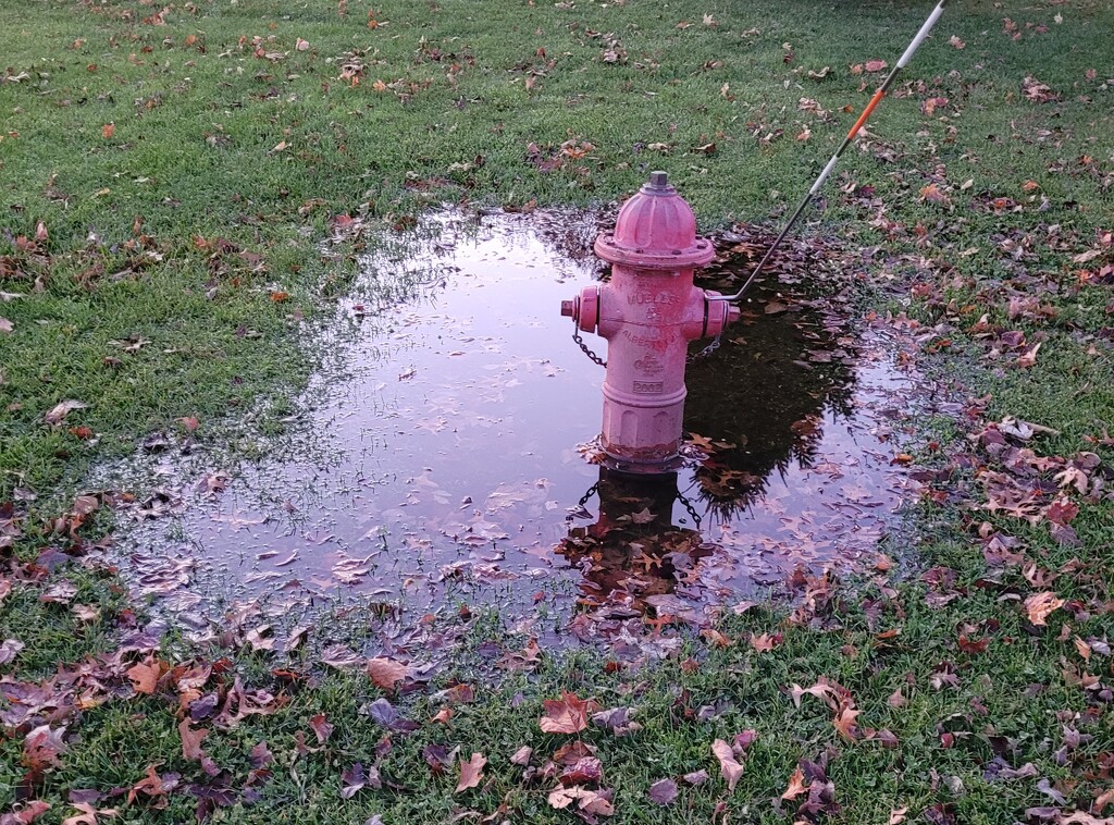 A hydrated hydrant by scoobylou