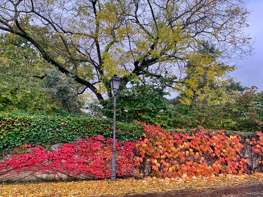 Colors of autumn.  by cocobella