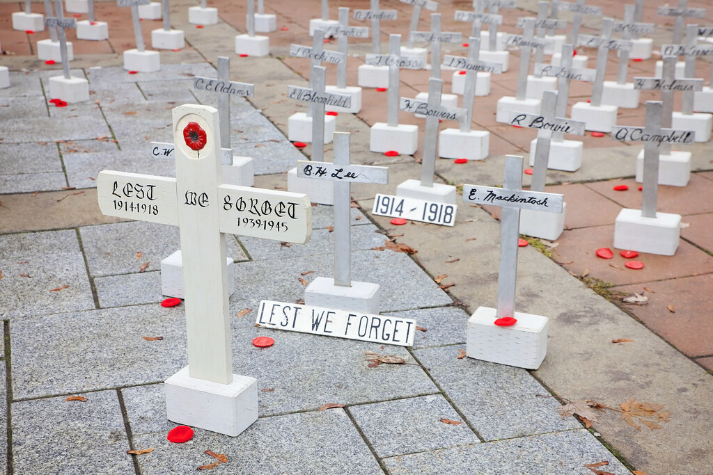 Remebrance Day crosses in Rossland by kiwichick