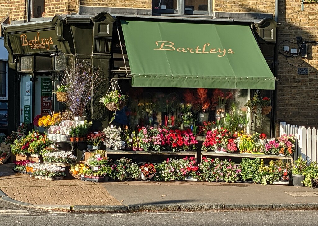 Passed this beautiful shop full of plants by yorkshirelady