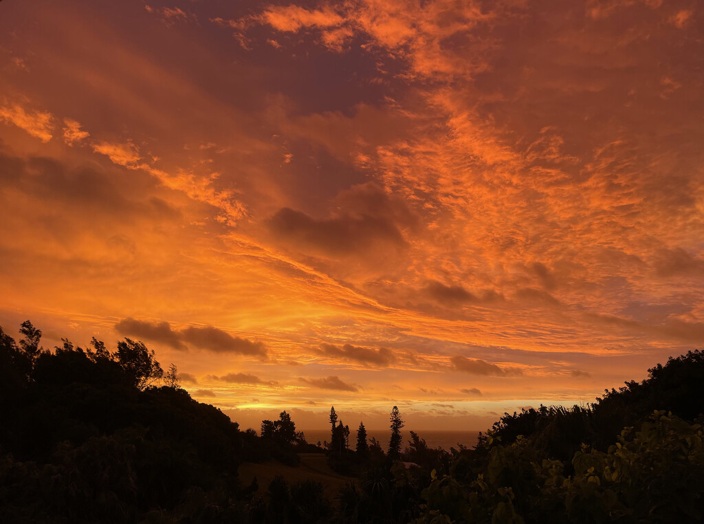 The morning sky. by lisasavill