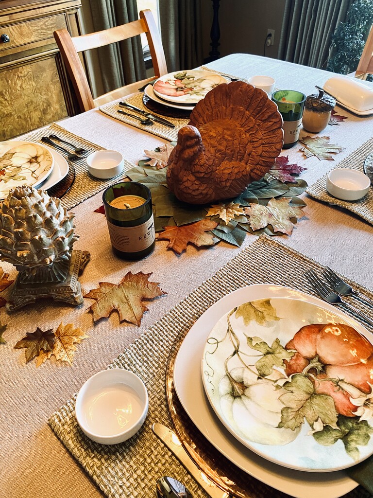 The Turkey is on the Table by calm