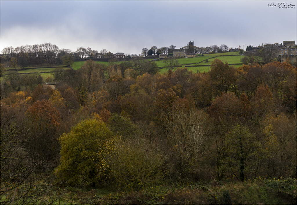 Across to Sowerby Village by pcoulson