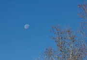 24th Nov 2021 - Daytime Moon