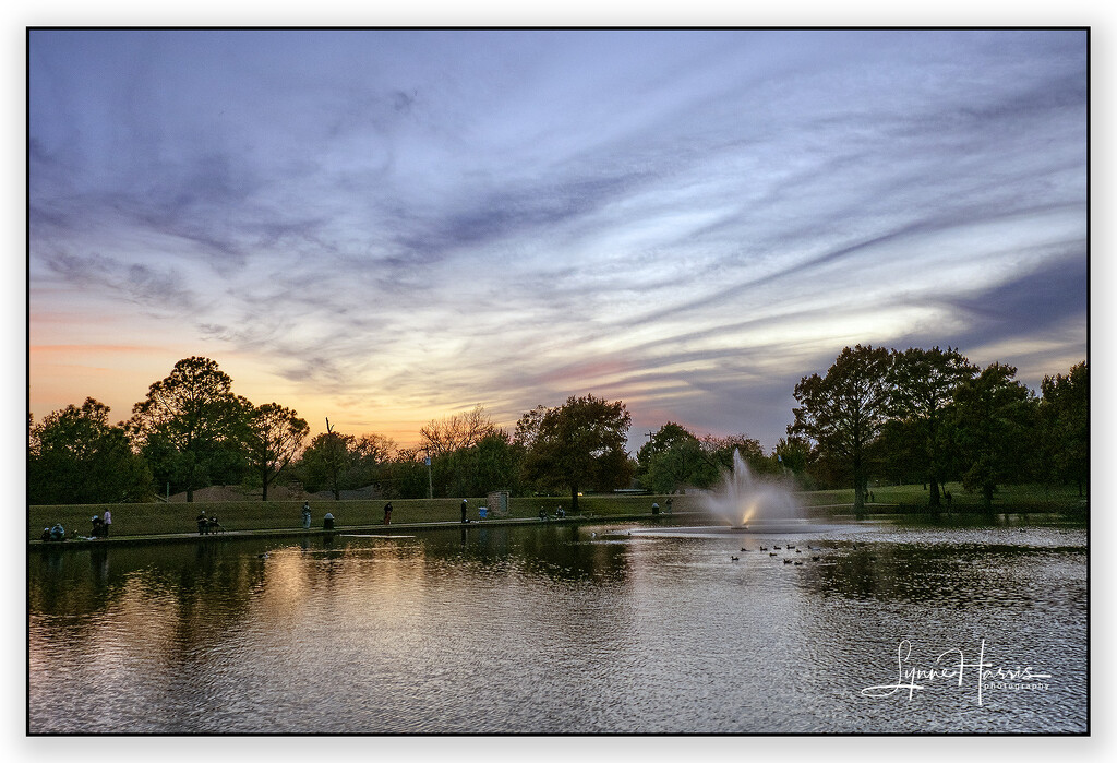 Sunset at the Park by lynne5477