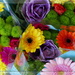 bright flowers for a grey day.... by quietpurplehaze