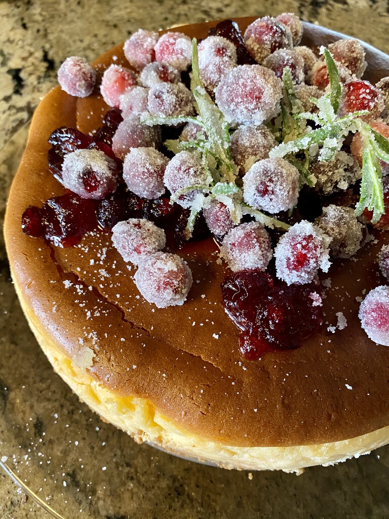 Cheesecake with Cranberries by calm