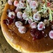 Cheesecake with Cranberries by calm