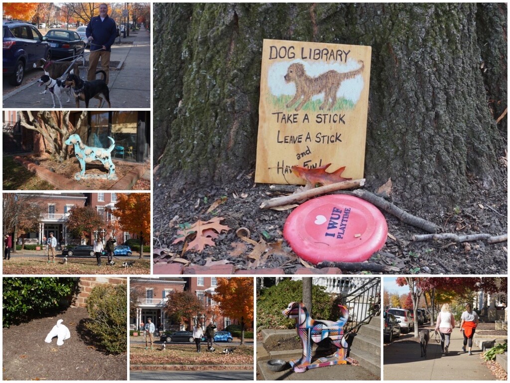 Dogs on Monument Avenue by allie912