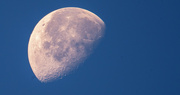 25th Nov 2021 - Moon Shot From This Morning!