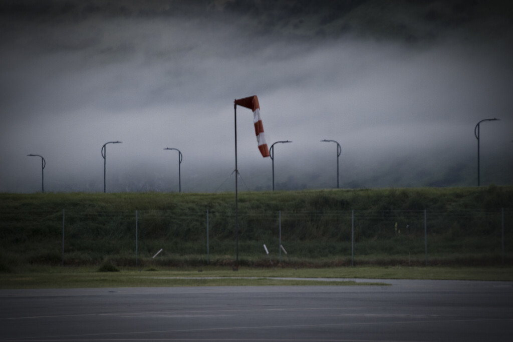 Wind sock by dkbarnett