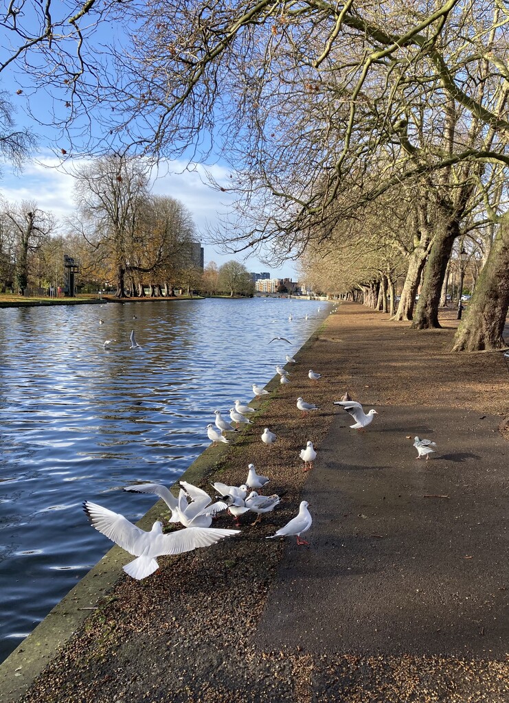 Bedford embankment by sianharrison