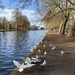 Bedford embankment by sianharrison