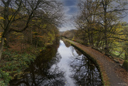 26th Nov 2021 - Rochdale Canal runner