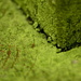 Macro of Green Slime by stephomy