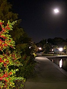 26th Nov 2021 - A night walk around Colonial Lake