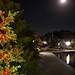 A night walk around Colonial Lake by congaree