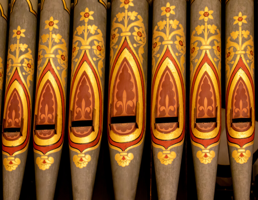 Organ pipes by swillinbillyflynn