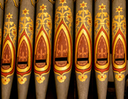 27th Nov 2021 - Organ pipes